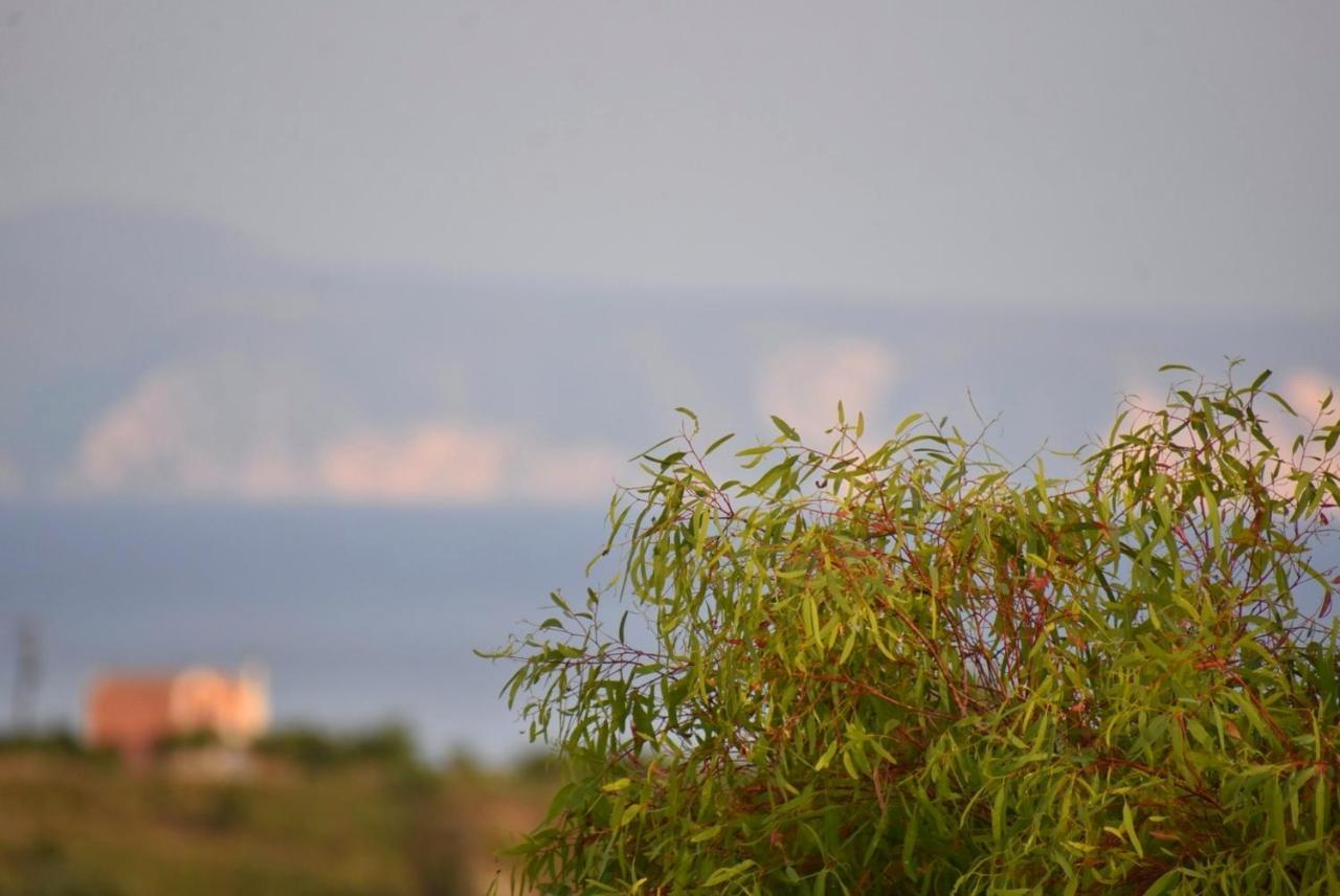 Anemomylos Apartments Lixouri Dış mekan fotoğraf